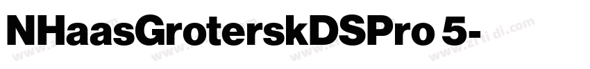 NHaasGroterskDSPro 5字体转换 NHaasGroterskDSPro 5字体转换